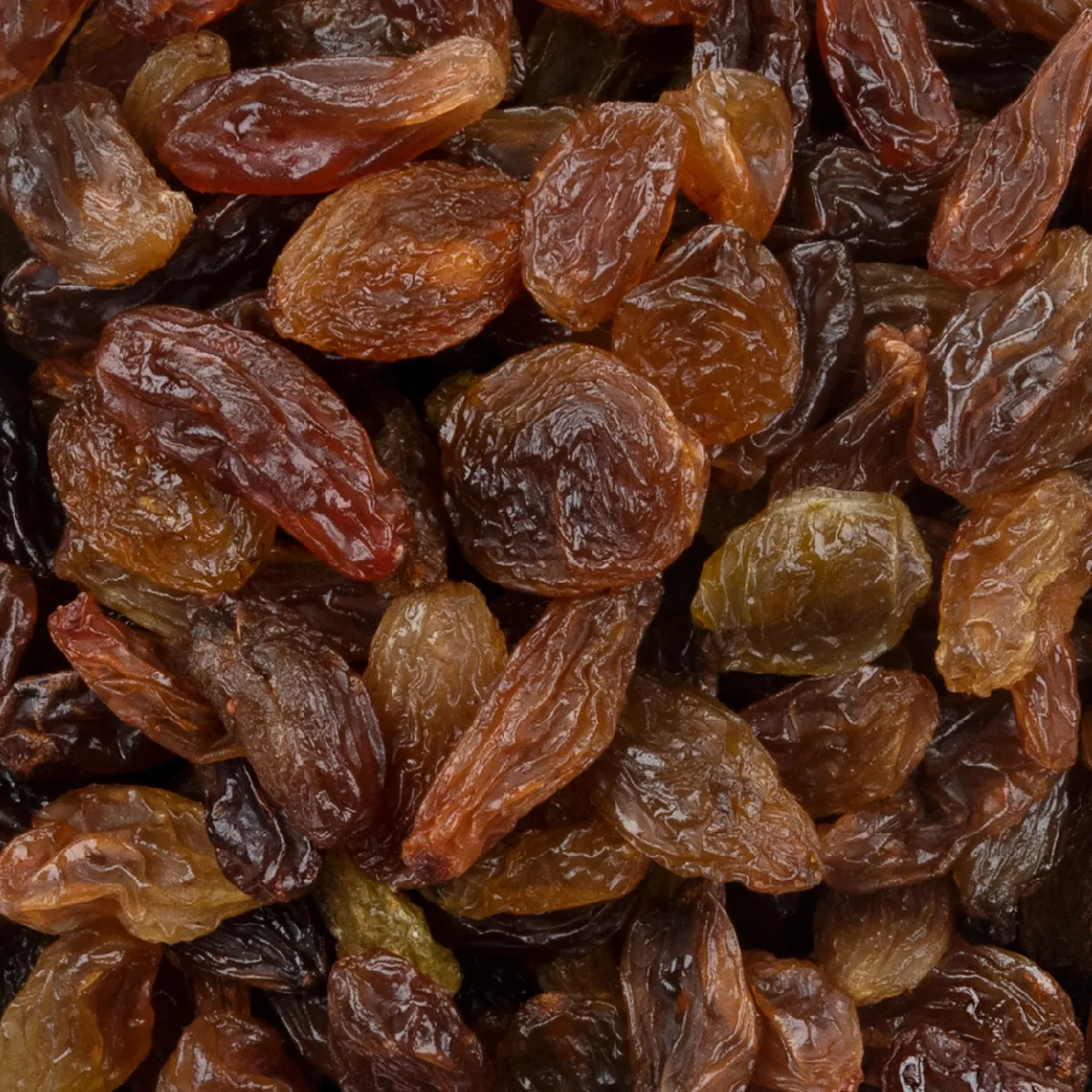 Golden raisins exporter from India Sangli